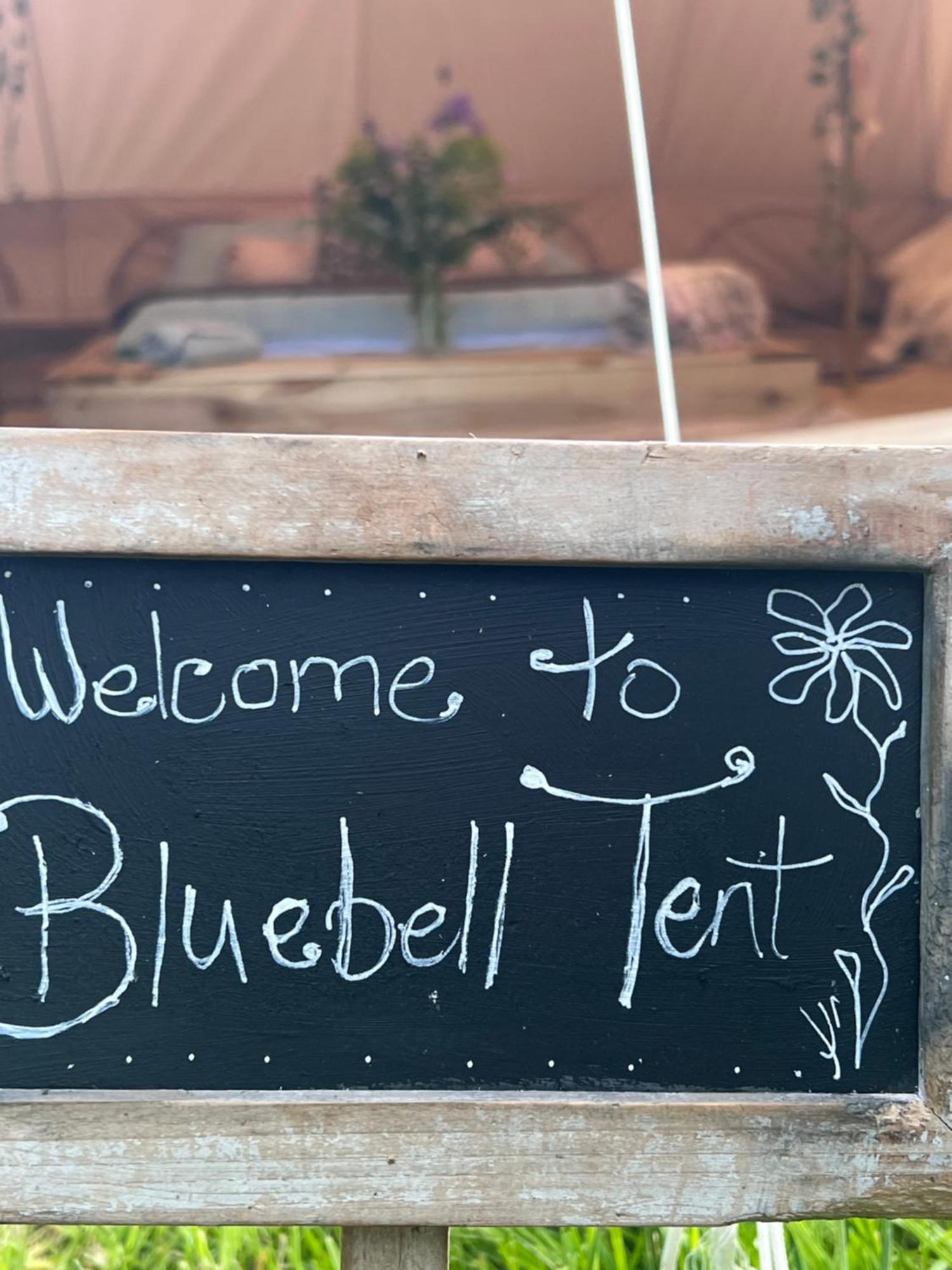 Bluebell Tent At Ballyward Croft Ardkeen Exterior photo